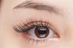 🔅今月限定🔅バインドロック  80束（オフ有り無し〇、他店付け足し‪✕‬）