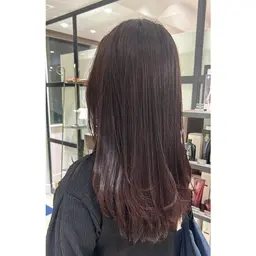 【平日限定】ワンカラー🌸