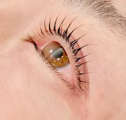 【当店アイサロンご新規様限定！】Jr.アイリスト価格！次世代ラッシュリフト『まつパ』