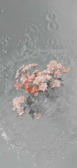 🌼パリジェンヌラッシュリフトorラッシュリフト🌼（補足説明お読み下さい）