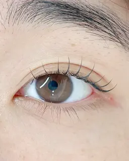 【🌸4月/平日限定】まつげパーマ ¥7,700 → ¥4,900 ※電話問合せ不可