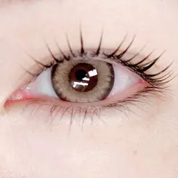 【minimo限定】まつ毛パーマ🎀ケラチントリートメント＆コーティング込み💖ラッシュリフト♩