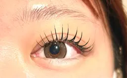 フラットラッシュリペア2週間以内