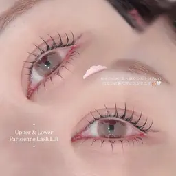 👑パリジェンヌラッシュリフト《高濃度トリートメント付》¥6600 → ¥3980【minimo限定🩰】