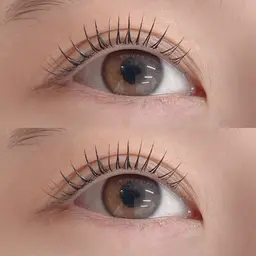 【3回分回数券】🐰コスメラッシュリフト🐰全時間1回分が3667円になります🩵