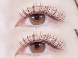 【オフ込み】 フラットラッシュ 　８０本