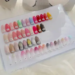 ピックアップカラ一約80色ワンカラーor ラメグラ