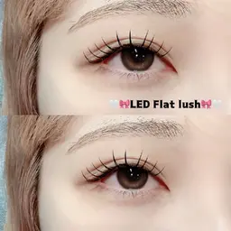 《高持続🌟LEDマツエク》フラットラッシュ100本/束感コーティング付🌷)¥6,000▶︎¥5,500/オフ不可