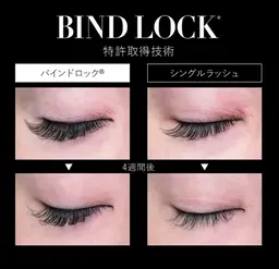 【バインドロック 60束】オフ有り★初回お試しにオススメの60束です。