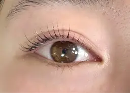 【まつげパーマ★ダウン×ラッシュ】メーテルラッシュ