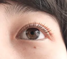 まつ毛パーマモデル👀✨パリジェンヌ可*エクステオフ別途¥550