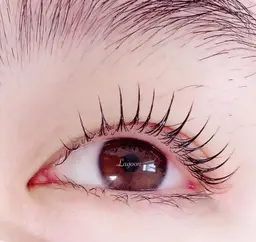 🌹ご新規様限定🌹大人気! まつげカール 初回 ¥3800 💓　まつげのお悩みお聞かせください❣