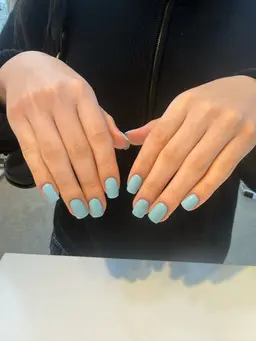 ワンカラー(オフあり)