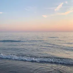 エクステオフのみ👶🏻アイシャンプー付き🛁