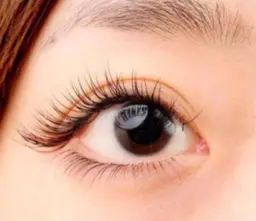 🉐定番【オフ無料】★最高級セーブル120本