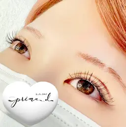 【撮影モデルのお願い】フラットラッシュ 120本 (オフ込み)