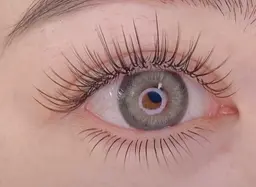 大人気🧚‍♂️ パリエク🧚‍♂️パリジェンヌ（上まつ毛）+ フラットラッシュ2D （100束）キープ美容液 🧚🏼