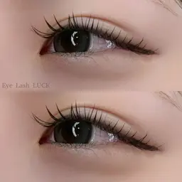 🌿［ コーティング付き ］フラットラッシュ 80本