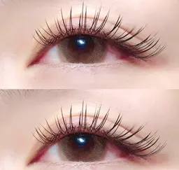 バインドロックorダブルフラットラッシュ80束　【¥6000】