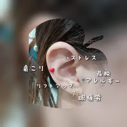 耳つぼジュエリー　　　　　【両耳10粒】