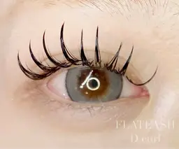 期間限定価格！ ✨️フラットラッシュ100​〜​120本✨️