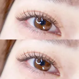 【モニター募集🟦指定日限定】ダブルフラットラッシュ50束(100本)コーティング付  ※オフ有＋550円