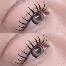 メガフラット160本or240本（コーティングお仕上げ付き）