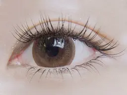 フラットラッシュ60分リペア（最大100本まで）