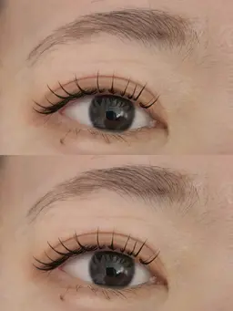 デビュー特別価格LEDエクステ上120本・LEDエクステ下30本