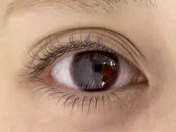 【練習モデル】下ラッシュリフト