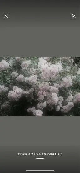 Aujuaシャンプー➕Aujuaプレミアムトリートメント🫧