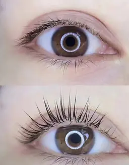 パリジェンヌラッシュリフト💓根元からしっかり立ち上げデザイン