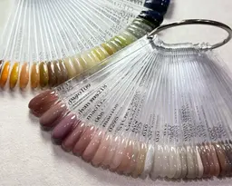 🫧ハンド　ワンカラー　フィルインオフあり