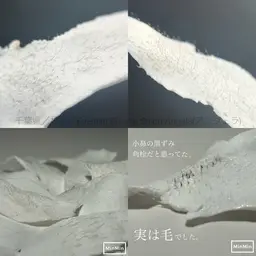 【練習モデル】フェイシャルWax(全顔)