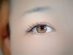 最高級プラチナセーブル100本　支払い現金のみ。