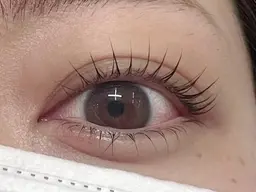 パリジェンヌラッシュリフト上下＋ケラチントリートメント付き🫧