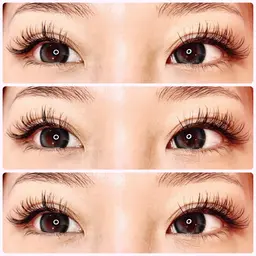 フラットラッシュシングル40本＋バインドロック60本