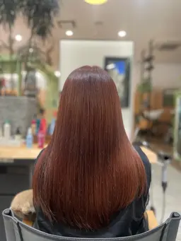 早期予約割AVEDAカラー(ブリーチ、白髪染め以外をお求めの方)