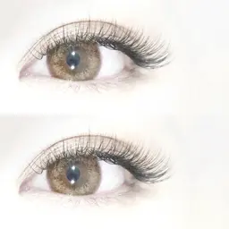 シングル付け足し40分付け放題