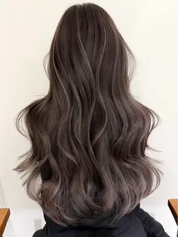 カット＋ハイライト