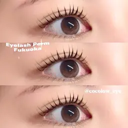 【韓国束感👀🎀🫧】上下ケラチンラッシュリフト+美容液コーティング