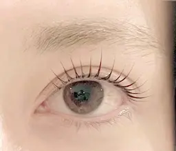 🎀上下まつ毛パーマ+トリートメント🎀