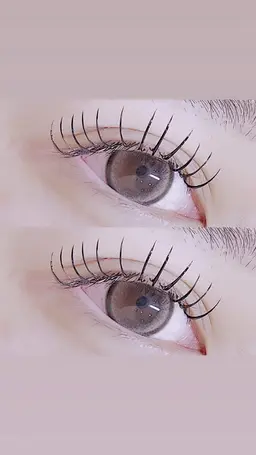 《オフ込み》バインドロック80束 ¥6,000