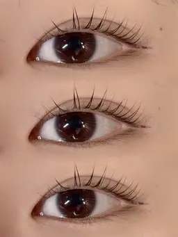 パリジェンヌラッシュリフト🎀🎶