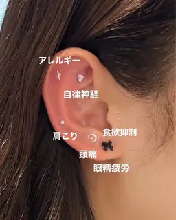 耳つぼジュエリー💎✨✨ 両耳simple12粒🎀（片耳6粒ずつ）