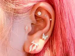 【19時〜の限定価格】耳つぼジュエリー💫 パーツ大小OK‼️ 14粒✨