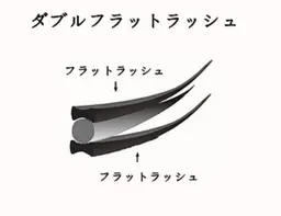 【持続UP】ダブルフラットラッシュ120束（240本）/100束（200本）6500円