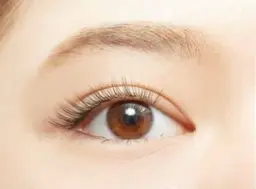 高持続ラッシュリフト(トリートメント付き)＋美眉スタイリング🪄