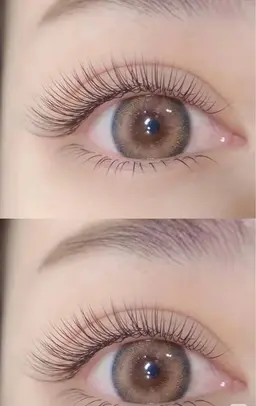 フラットラッシュ コーティング付き 120本(オフ無し)