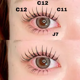 【パリエク】パリジェンヌラッシュリフト＋ダブルフラットラッシュ80束目安［カラー／再来様／オフ＋500円］